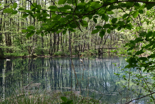 Karsztforrás