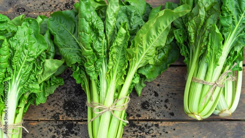 Fresh Bundles of Swiss Chard Harvested and Placed on Rustic Table