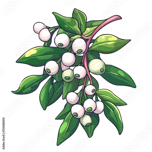 Christmas Mistletoe, flat 2D isometric cartoon vector image isolated on white background.