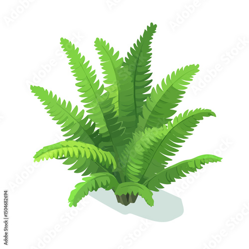 Boston Sword Fern, flat 2D isometric cartoon vector image isolated on white background.