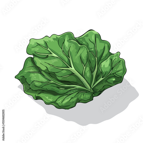 Cabbage Leaf, cartoon vector illustration, flat 2D isometric style, white background.