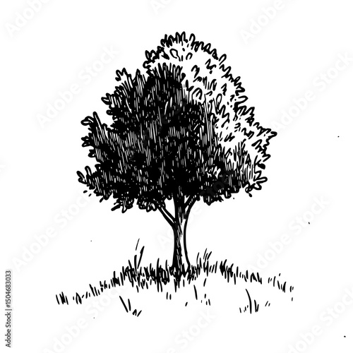 Vintage Botanical Line Art: Realistic Tree Vector Set - Detailed Floral Illustrations for Design, Marketing & Creative Projects