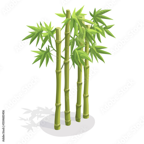 Bamboo, flat 2D isometric cartoon vector image isolated on white background.
