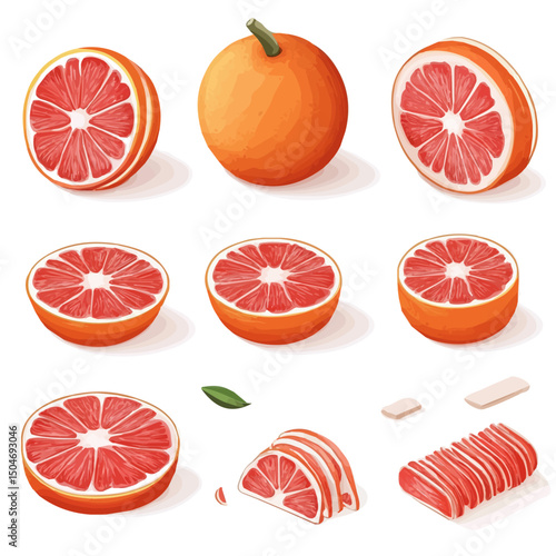 Grapefruit, flat 2D isometric cartoon vector image isolated on white background.