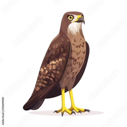 Goshawk, cartoon vector illustration, flat 2D isometric style, white background.