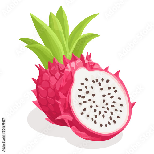 Dragon Fruit, vector graphic, 2D flat isometric cartoon illustration on white background.
