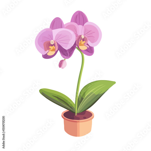 Exotic Orchid, vector graphic, 2D flat isometric cartoon illustration on white background.
