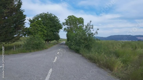 Peaceful Drive Through Sunny Natural Landscape