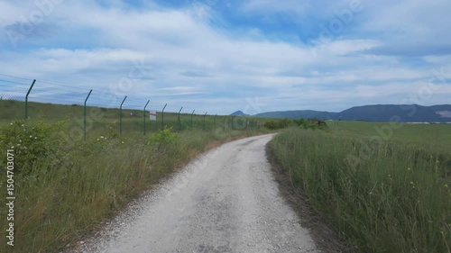 Peaceful Drive Through Sunny Natural Landscape
