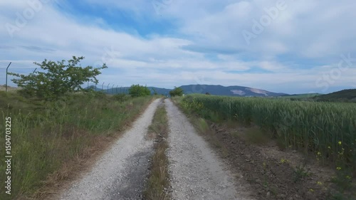 Peaceful Drive Through Sunny Natural Landscape