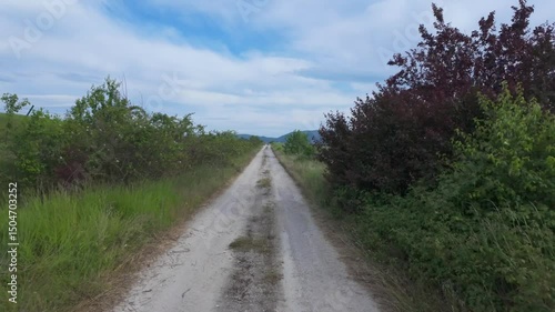Peaceful Drive Through Sunny Natural Landscape