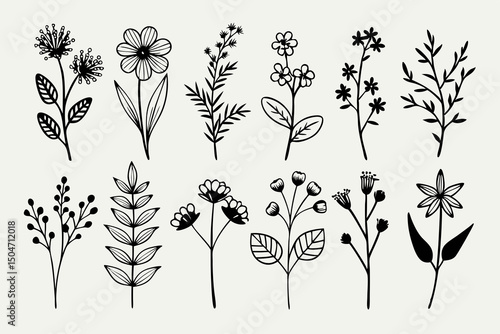 Twelve simple black and white floral illustrations botanical line art