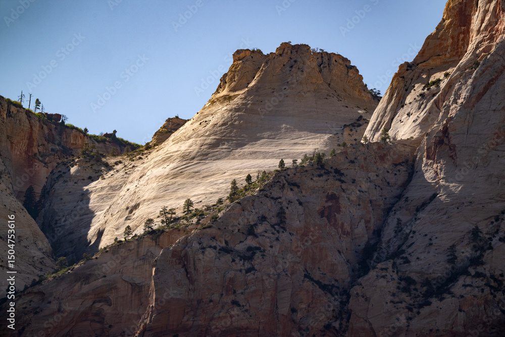 Obraz premium Mountains in Zion