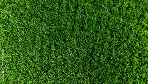 Wallpaper Mural Close up of dense green grass field with vibrant color and rich texture under natural light Torontodigital.ca
