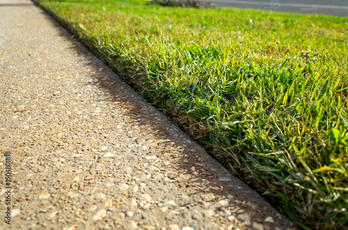 Valokuva Close-up view of a neatly trimmed green lawn with a clean edge along a concrete footpath