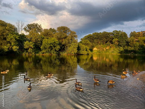 Photography Humber River Summer View