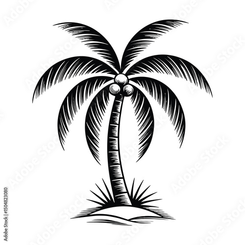 Tropical palm tree silhouette black and white illustration