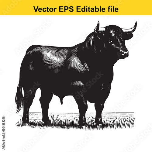 Angus Bull, Cow, and Calf Vector Silhouettes | Livestock Line Art | Farm Animal Clipart Collection