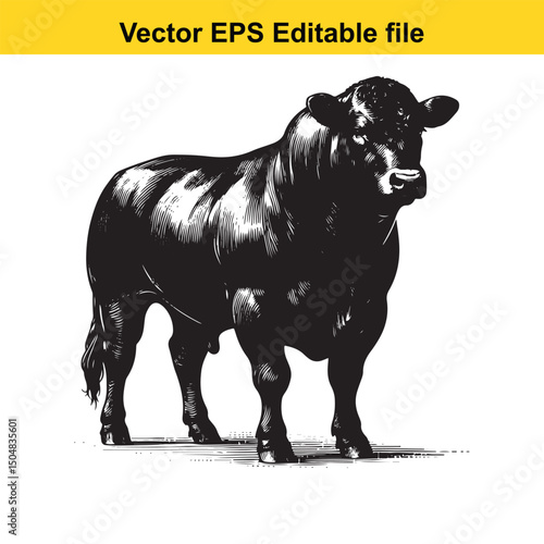 Angus Bull, Cow, and Calf Vector Silhouettes | Livestock Line Art | Farm Animal Clipart Collection