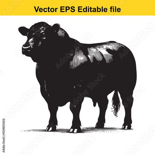 Angus Bull, Cow, and Calf Vector Silhouettes | Livestock Line Art | Farm Animal Clipart Collection