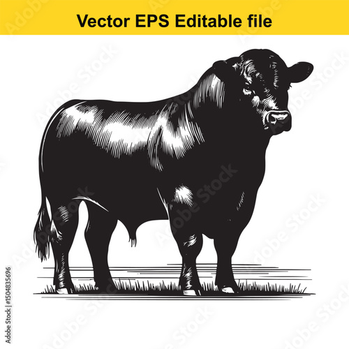 Angus Bull, Cow, and Calf Vector Silhouettes | Livestock Line Art | Farm Animal Clipart Collection