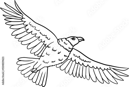 Andean Condor Bird Flying Line Art Outline Vector Drawing