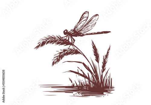 Dragonfly Hand Drawn Natural Illustration Vector Isolated by AZ for Books, Arts, Design and Decoration Graphic Asset