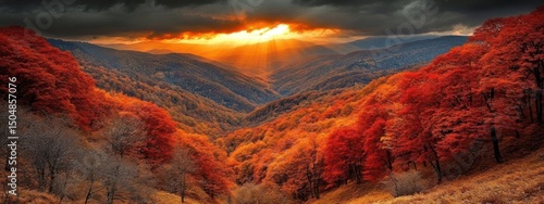 Vibrant autumn colors illuminate a mountain valley.
