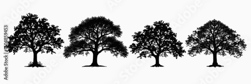 Set of 4 tree silhouettes, ideal for nature and landscape designs. Perfect for forest, environmental, and outdoor projects. High-quality vector art suited for logos, prints, and decor. Minimalist blac