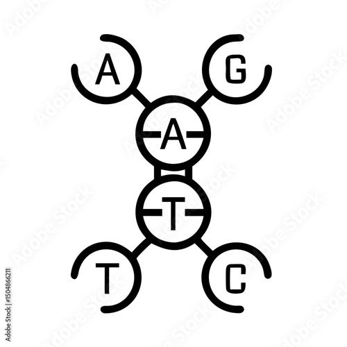 DNA structure with base pairs T and G C represented in simple diagram