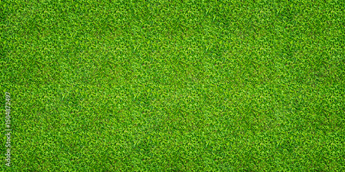 Green grass background. Green lawn pattern and texture. Close up image.