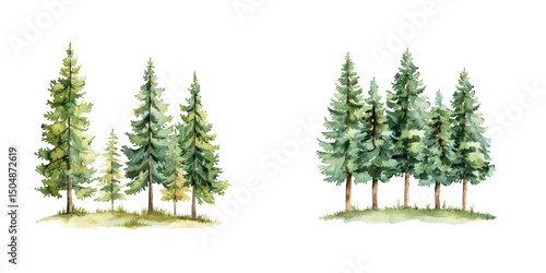 evergreen trees nature scene watercolor vector illustration