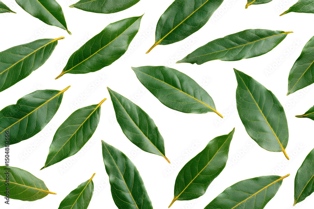 Minimalist bay leaf pattern isolated on transparent background, excellent for spice-rack labels and culinary infographic sets Minimalist bay leaf pattern isolated on transparent background, excellent for spice-rack labels and culinary infographic sets