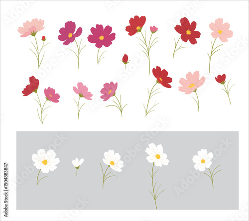 Wallpaper Mural 
Cosmos flower element isolated vector file Torontodigital.ca