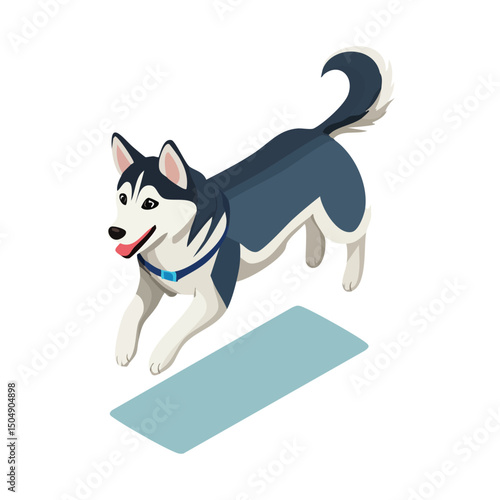 Siberian Husky jump Adobe Illustrator Artworkisometric vector illustration with clean geometry and modern design
