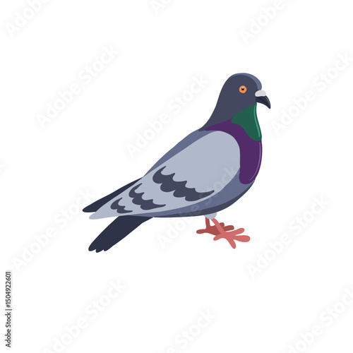 vector drawing bird, rock dove, hand drawn Columba livia,, isolated nature design element