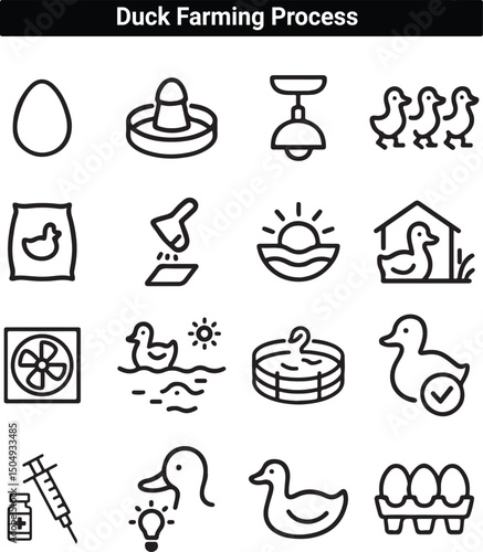Duck Farming Process Icons – Poultry Breeding and Hatchery Symbols