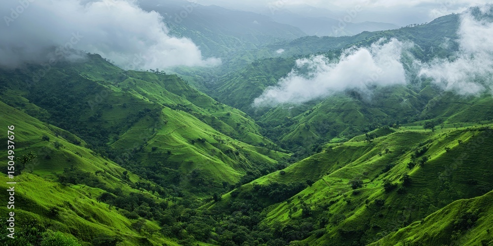 Naklejka premium A lush valley of endless green slopes, with soft white clouds hovering above