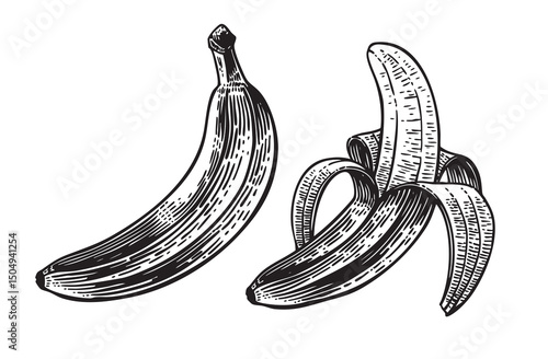 Vintage hand-drawn banana illustration in engraving style. Monochrome line art ideal for organic labels, food packaging, or retro botanical prints. Suitable for digital or print use.