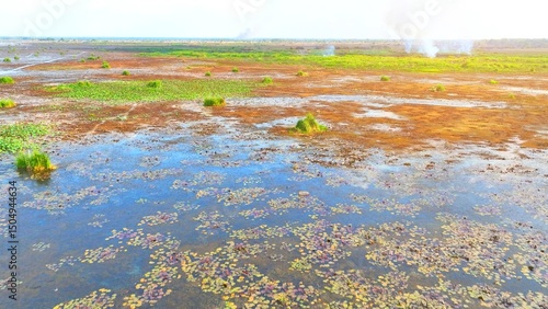 Quadro em tela From above, a scantily populated wetland unfolds, with sporadic green clusters amid muddy expanses, portraying the intricate tapestry of biodiversity thriving amidst the watery expanse