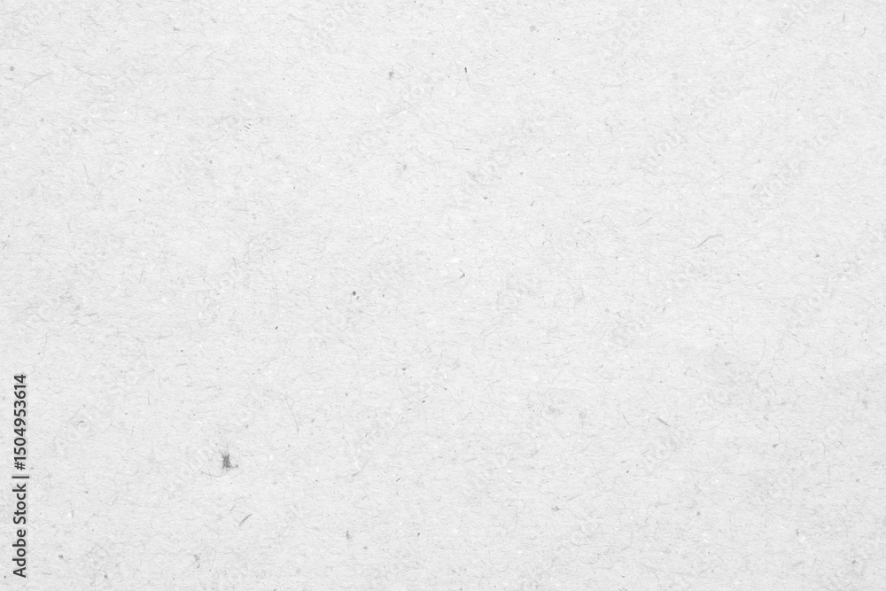 Fototapeta premium White recycle paper cardboard surface texture background