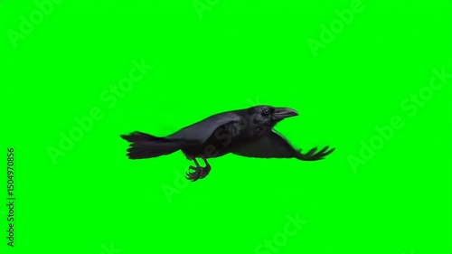 Wallpaper Mural Side view of a black crow flying and flapping wings on green screen background, generative AI Torontodigital.ca