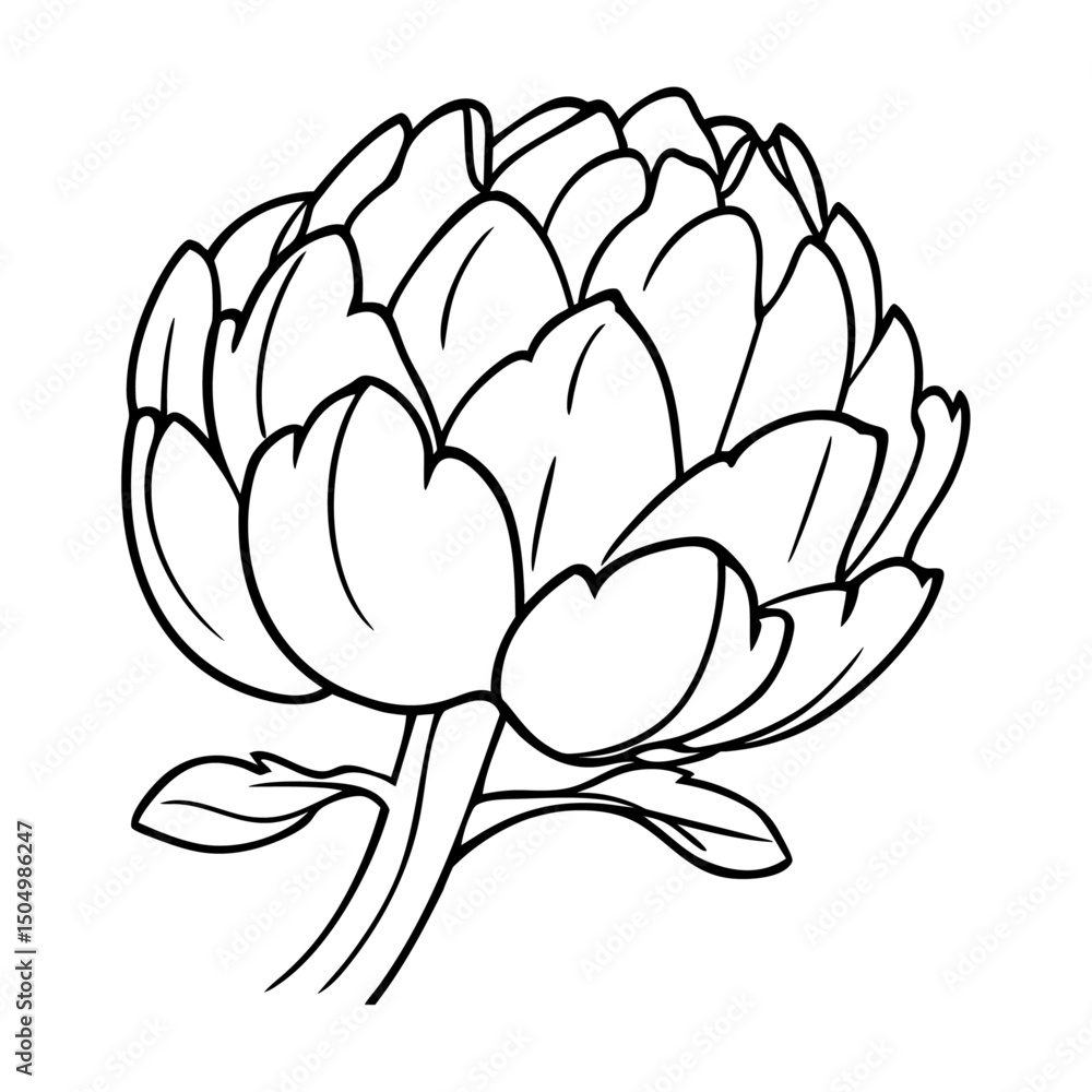 Obraz premium Artichoke Line Drawing Illustration