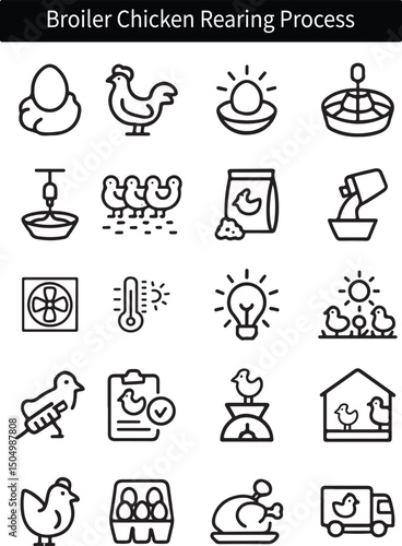 Broiler Chicken Rearing Process Icons