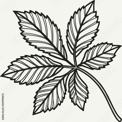cannabis leaf vector illustration