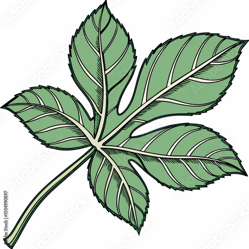 green leaf isolated on white