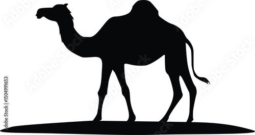 silhouette of camel