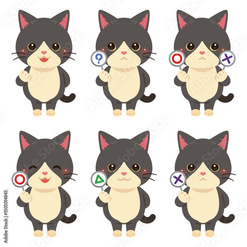 ○×△の札を持った猫のキャラクターイラストセット