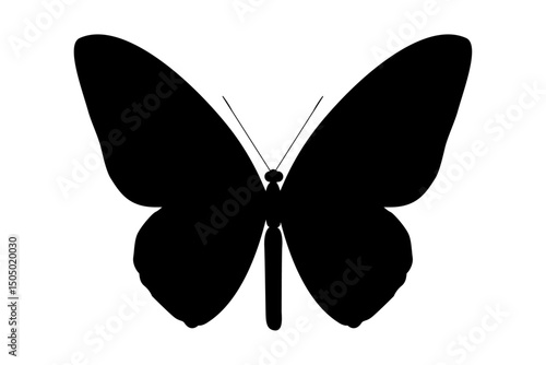vector realistic silhouette butterfly. Cartoon black clip art isolated on transparent background. Hand drown design element.