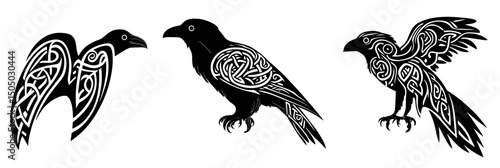 Set of three black ravens with intricate celtic knot tattoo designs in different poses flat minimalist vector art for scandinavian mythology and symbolic illustration